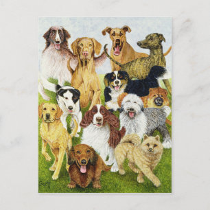 Carte Postale Jours de chien