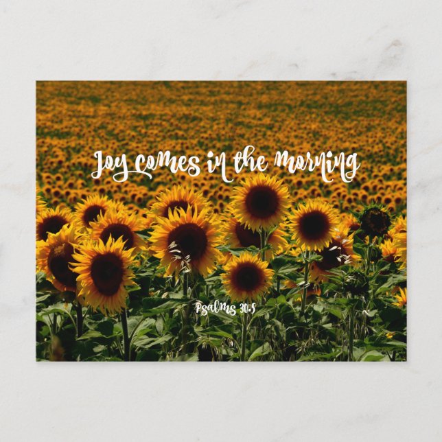 Carte Postale Joy arrive dans le Matin Verse (Devant)