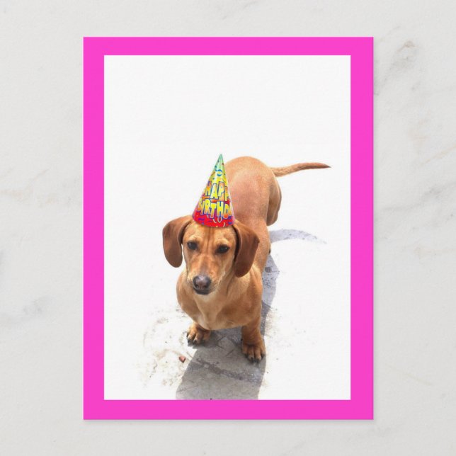 Carte postale Joyeuse Anniversaire Dachshund (Devant)