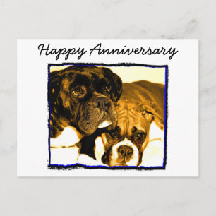 Carte Postale Joyeuse Anniversary Boxer