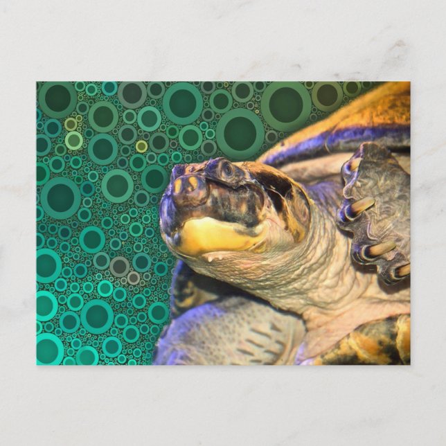 Carte postale Joyeuse de tortue de mer (Devant)
