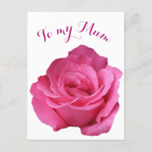 Joyeuse fête des mères maman rose assez rose chaud