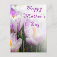 Joyeuse fête des mères Violette et Blanche Tulipes
