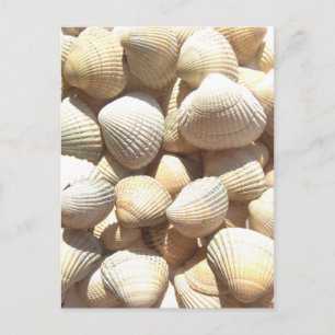 Carte Postale Joyeuse fête des pères, Coquillages, Photo Summer
