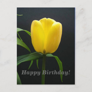 Carte Postale joyeuse fleur de tulipe jaune