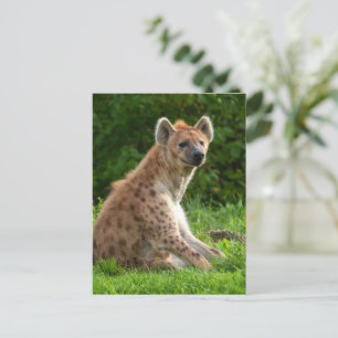 Carte Postale Joyeuse Hyena Au milieu de la verdure