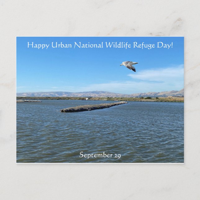 Carte Postale Joyeuse Journée nationale de la faune urbaine ! (Devant)