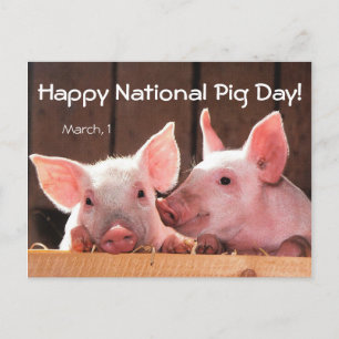 Carte Postale Joyeuse Journée nationale du cochon ! (1er mars)