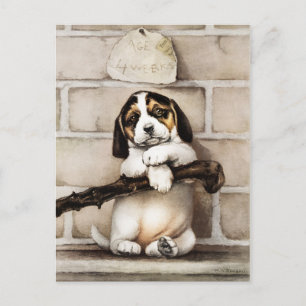 Carte Postale Joyeuses fêtes