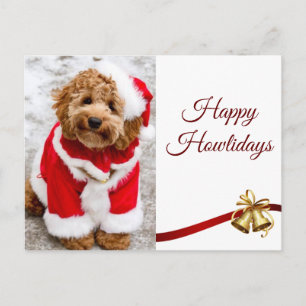 Carte Postale Joyeuses Fêtes de Noël Cockapoo amis