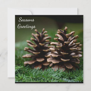 Carte postale Joyeuses Fêtes Pine Cone