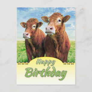 Carte Postale Joyeux anniversaire