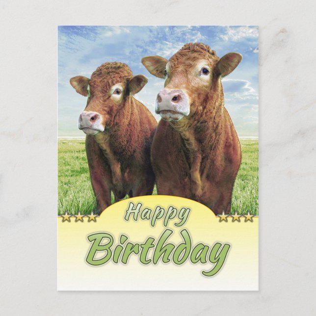 Carte Postale Joyeux Anniversaire (Devant)