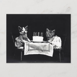 Carte Postale Joyeux anniversaire à Meow | Kitties avec gâteau