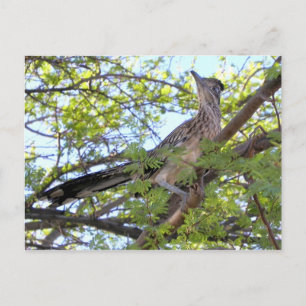 Carte Postale Joyeux anniversaire à un ami spécial.