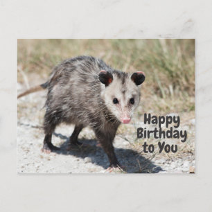 Carte Postale Joyeux anniversaire à vous mignonne Opossum Walkin