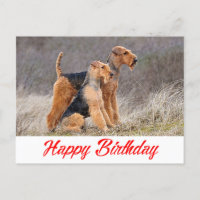 Joyeux Anniversaire Airedale Terrier Chien Chien C