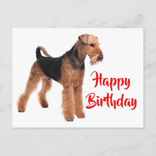 Carte Postale Joyeux Anniversaire Airedale Terrier Chien chiot (Devant)