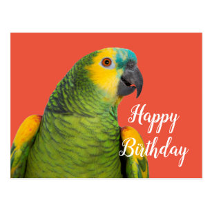 Cartes Postales Perroquet Joyeux Anniversaire Originales Zazzle Ch