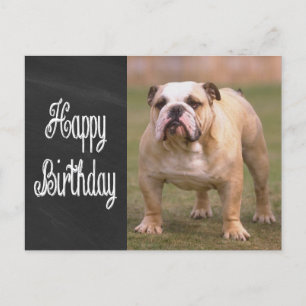 Carte Postale Joyeux Anniversaire Anglais Bulldog Chalkboard Car