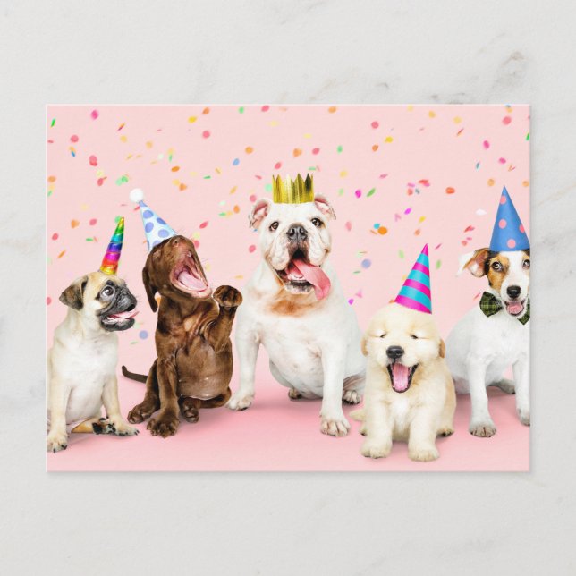 Carte Postale Joyeux Anniversaire Beaux Animaux de fête (Devant)