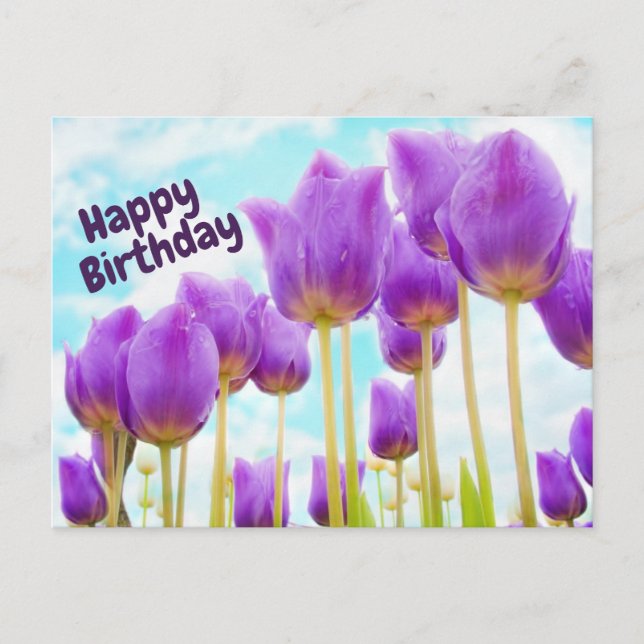Carte Postale Joyeux Anniversaire Belle Tulipe pourpre (Devant)
