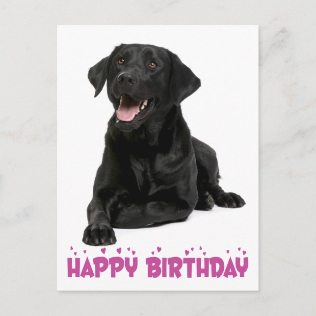 Carte Postale Joyeux anniversaire Black Labrador Retriever Chien (Devant)