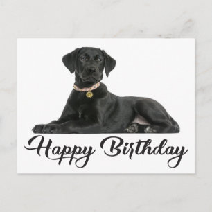 Carte Postale Joyeux anniversaire Black Labrador Retriever Chien