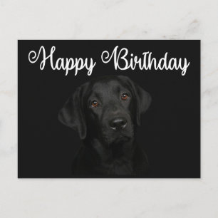 Carte Postale Joyeux anniversaire Black Labrador Retriever Chien