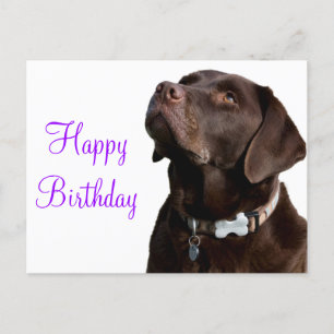 Carte Postale Joyeux anniversaire Brown Labrador Retriever Chien