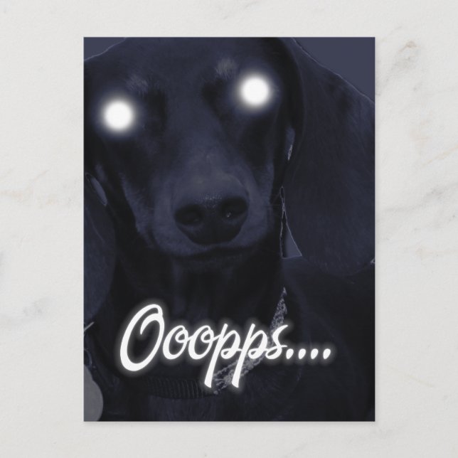 Carte Postale Joyeux Anniversaire - Chandelles à tiques - Dachsh (Devant)