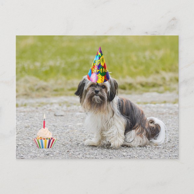Carte Postale Joyeux Anniversaire Chien Mignon avec Gâteau (Devant)