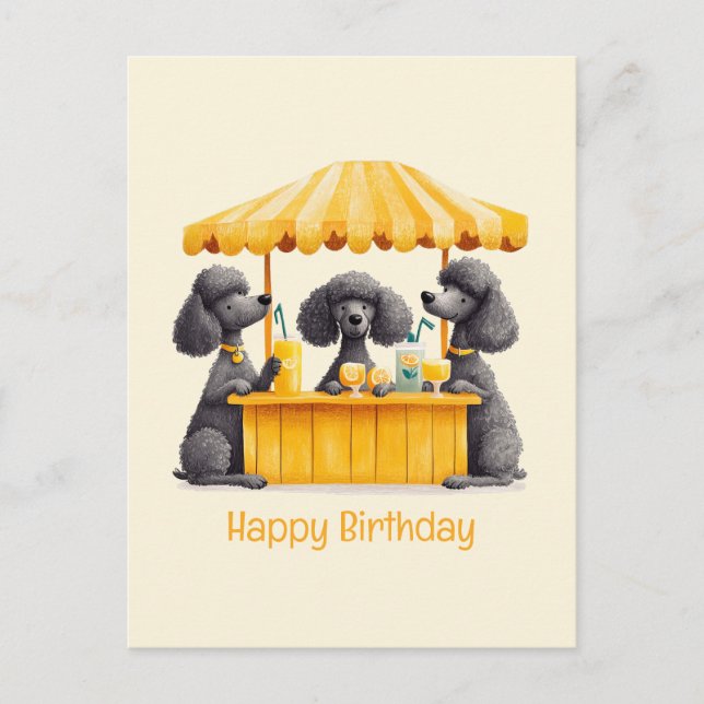 Carte Postale Joyeux Anniversaire Chiens Caniches Standards Stan (Devant)