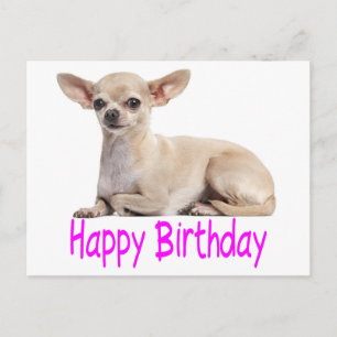 Carte Postale Joyeux Anniversaire Chihuahua Chien Chiot Purple V