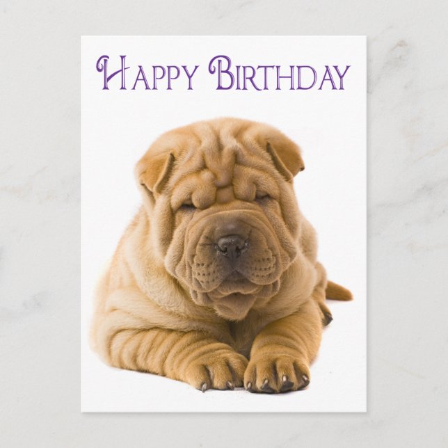 Carte Postale Joyeux Anniversaire Chinois Shar Pei Chien Chien C (Devant)