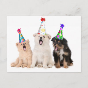 Carte Postale Joyeux anniversaire chiots