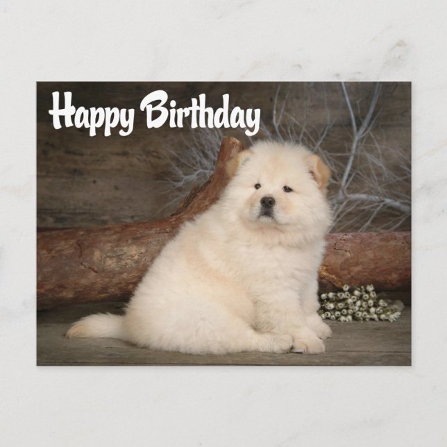 Carte postale Joyeux Anniversaire Chow Chow Chien  (Devant)