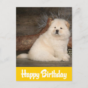 Carte Postale Joyeux Anniversaire Chow Chow Chien Chien Chien Ja