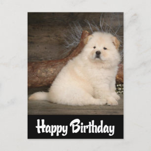 Carte Postale Joyeux Anniversaire Chow Chow Chien Chien Chien No