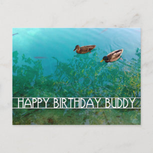 Carte Postale joyeux anniversaire copain (deux canards)