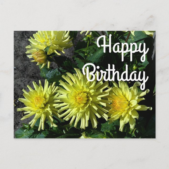 Carte postale Joyeux Anniversaire Dahlia Lakeview  (Devant)