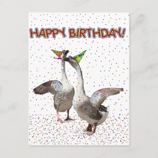 Carte Postale Joyeux Anniversaire Des Animaux De Fête (Devant)