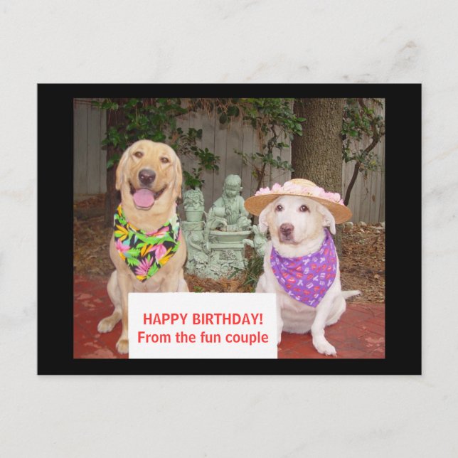 Carte Postale JOYEUX ANNIVERSAIRE ! Des couples d'amusement (Devant)