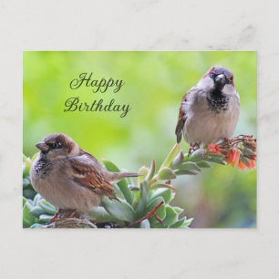 Carte Postale Joyeux Anniversaire Deux Oiseaux Moineaux Mignons