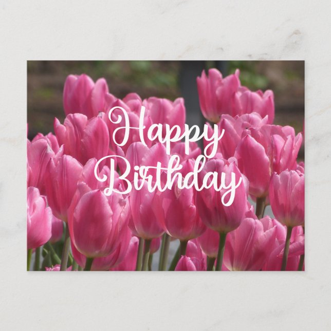Carte Postale Joyeux Anniversaire Fleurs de Tulipes Roses (Devant)