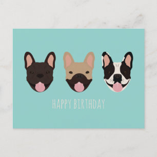 Carte Postale Joyeux anniversaire français Bulldog Turquoise