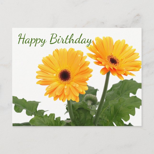 Carte Postale Joyeux anniversaire Gerbera Daisy Orange Green Flo (Devant)