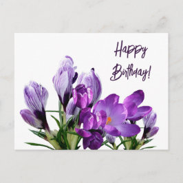 Carte Postale Joyeux anniversaire joli fleurs de crocus mauve fl