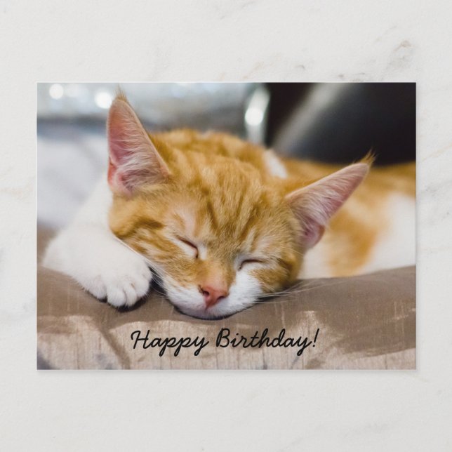 Carte Postale Joyeux Anniversaire Kitten (Devant)