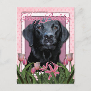 Carte Postale Joyeux anniversaire - Labrador - Noir - Gage